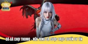 Đá Gà Chọi Thomo