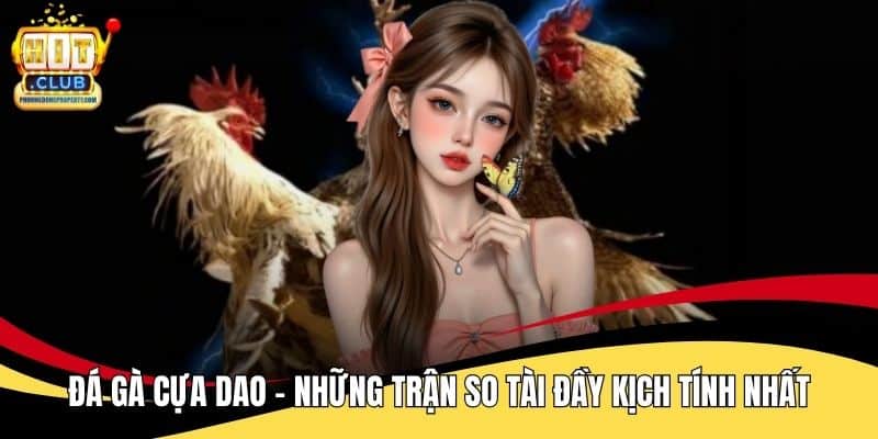 Đá Gà Cựa Dao