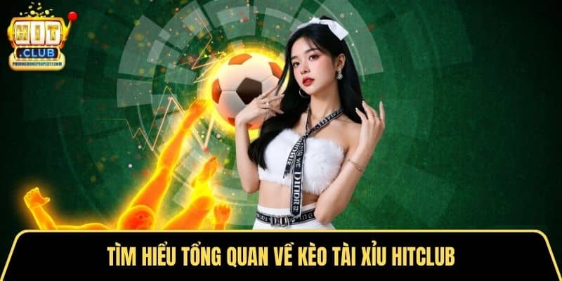 Tìm hiểu tổng quan về kèo tài xỉu Hitclub